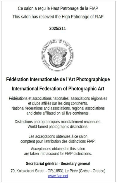 FIAP_2025_311